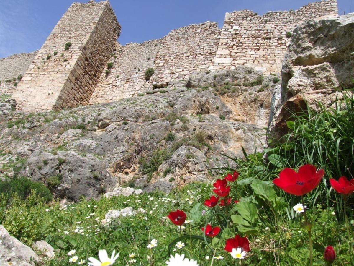 Be&ccedil;in&rsquo;in kalıcı listeye alınması i&ccedil;in girişim başlatıldı