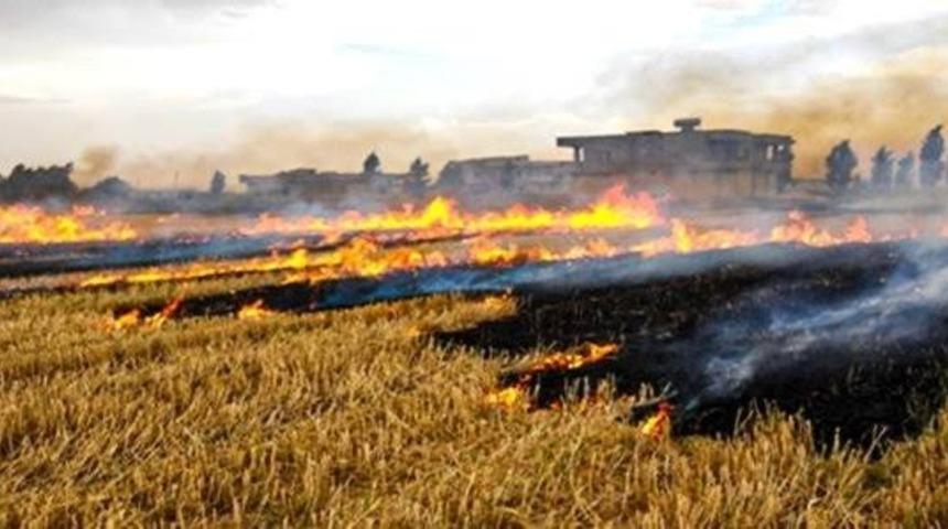 Anız yakan geleceğini yakar