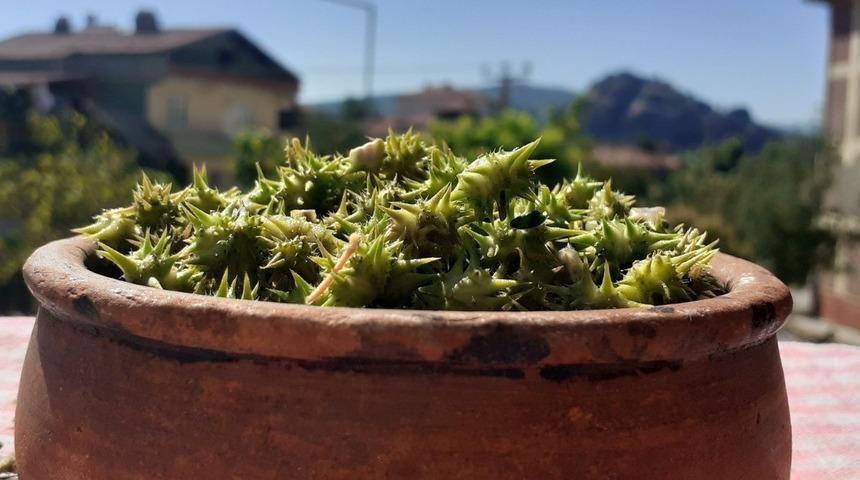 &Ccedil;oban &ccedil;&ouml;kerten uyarısı: Kullanmayı bilmiyorsanız...