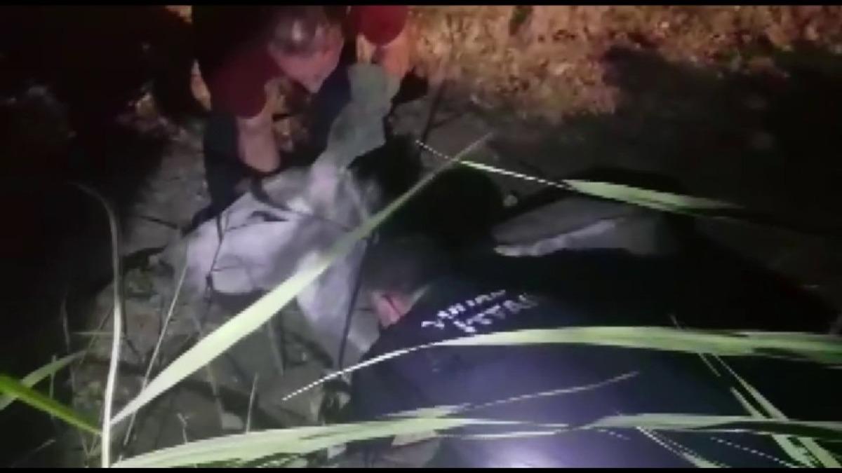 &Ccedil;amura batan eşeği itfaiye ekipleri kurtardı