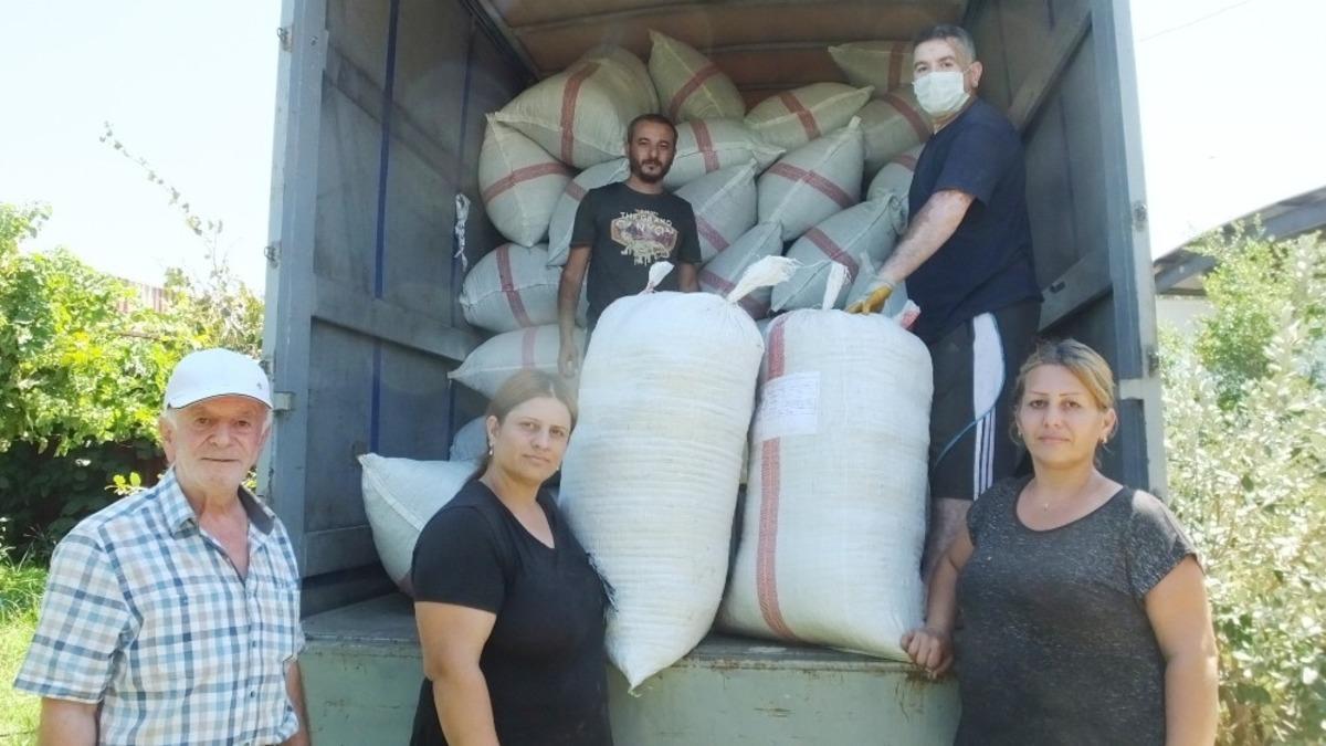 Balıkesir&rsquo;den stevia Almanya&rsquo;ya ihra&ccedil; ediliyor