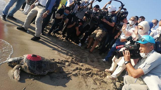 Emine Erdoğan denize salmıştı! Carettalardan ilk sinyaller geldi