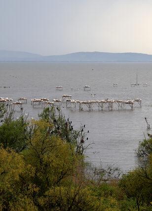 G&uuml;zelliğiyle b&uuml;y&uuml;l&uuml;yor! G&ouml;ren ayrılmak istemiyor