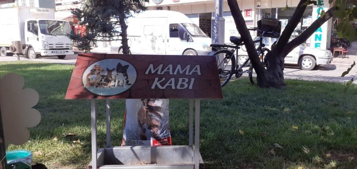 Bafra Belediyesi sokak hayvanlarını pandemide de unutmadı