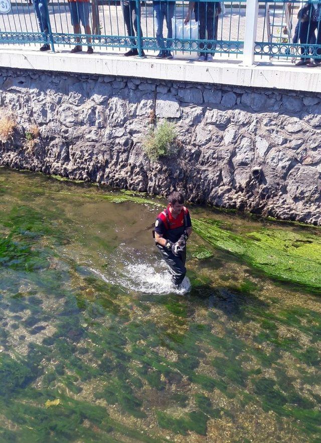 Su kanalında mahsur kalan kediye itfaiye kurtardı