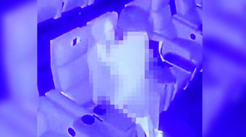 Sinema salonunda cinsel ilişkiye girdiler! Kameralar böyle görüntüledi