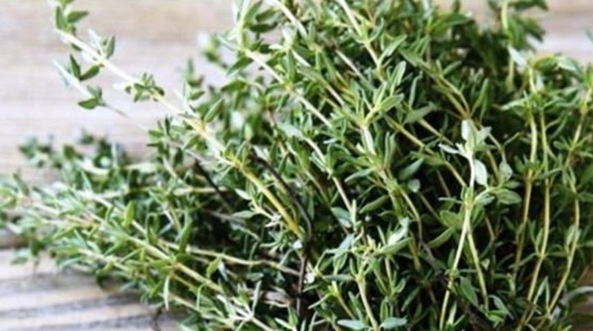 Hiç kimse bilmiyor ama zahterin sağlığa faydaları saymakla bitmiyor...