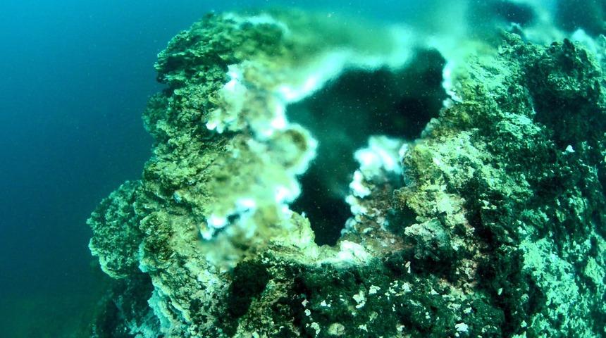 Van G&ouml;l&uuml;'ndeki d&uuml;nyanın en b&uuml;y&uuml;k mikrobiyalitleri g&ouml;renleri şaşırtıyor