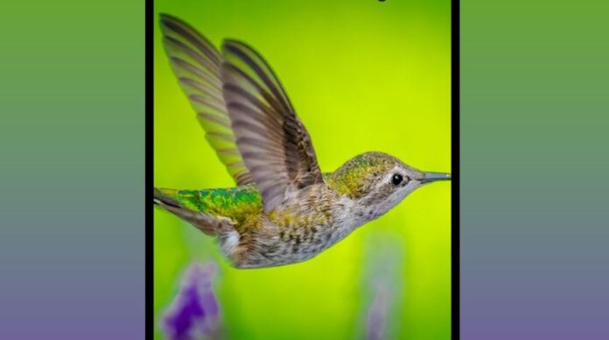 Galaxy Z Fold 2 5G videoda ortaya &ccedil;ıktı