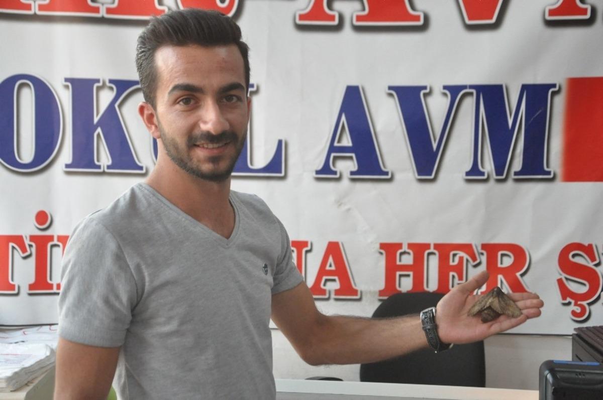 Y&uuml;ksekova&rsquo;da kuş b&uuml;y&uuml;kl&uuml;ğ&uuml;ndeki kelebek g&ouml;renleri şaşırttı