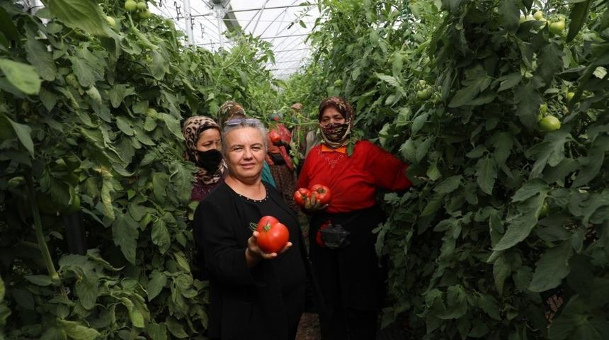 Eskişehir&rsquo;deki İyi Tarım Uygulamalı iyi sonu&ccedil; veriyor