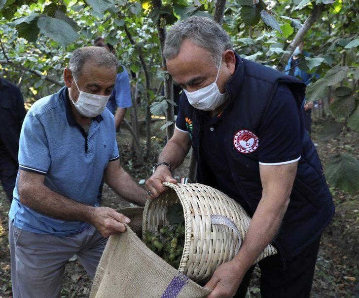 Fındık işçiliğinde reform G3