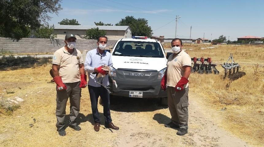 Konya’da yaralı flamingo koruma altına alındı