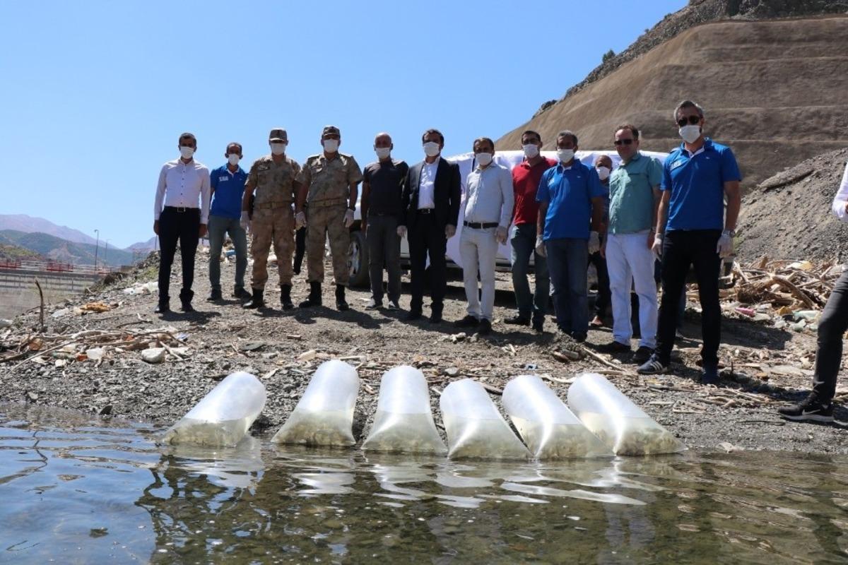 Beyhan Barajı&rsquo;na 50 bin sazan yavrusu bırakıldı