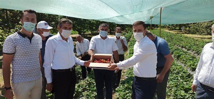Malatya’da Çilek Tarla günü düzenlendi G1