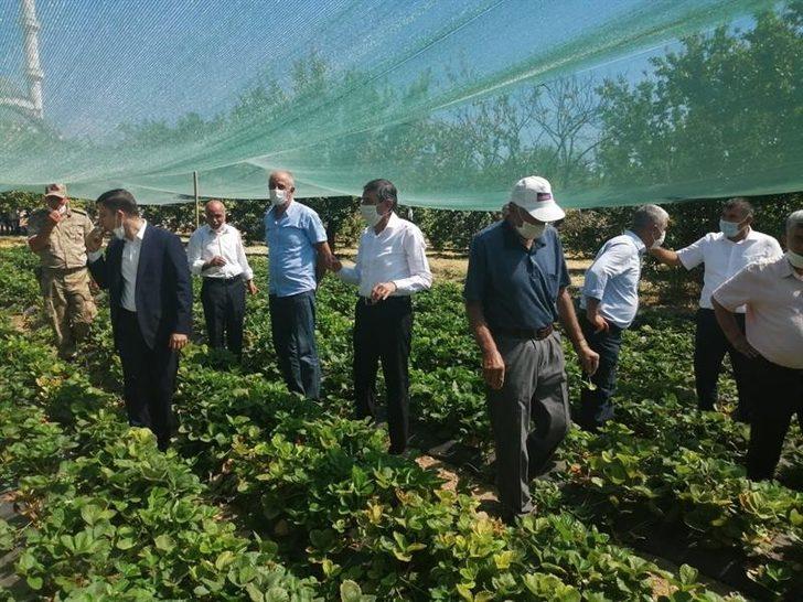 Malatya’da Çilek Tarla günü düzenlendi G2