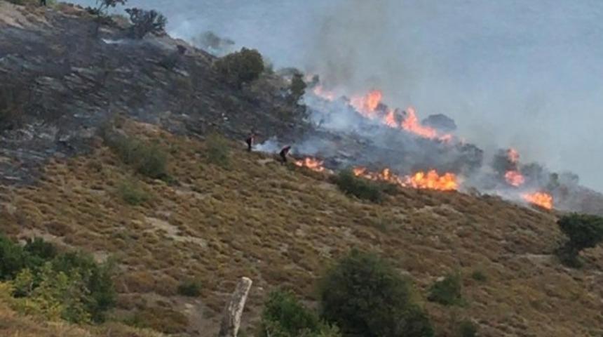 Sinop&rsquo;ta anız yangını