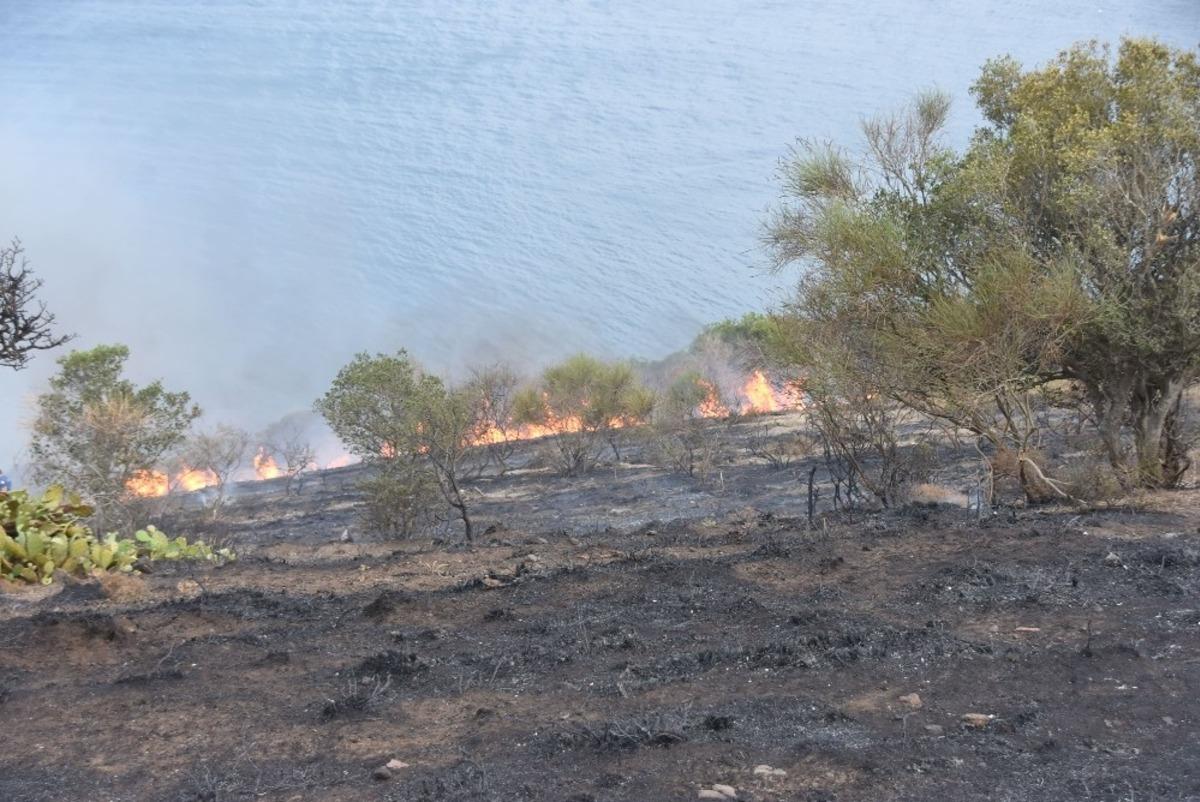 Sinop&rsquo;ta &ouml;rt&uuml; yangınları