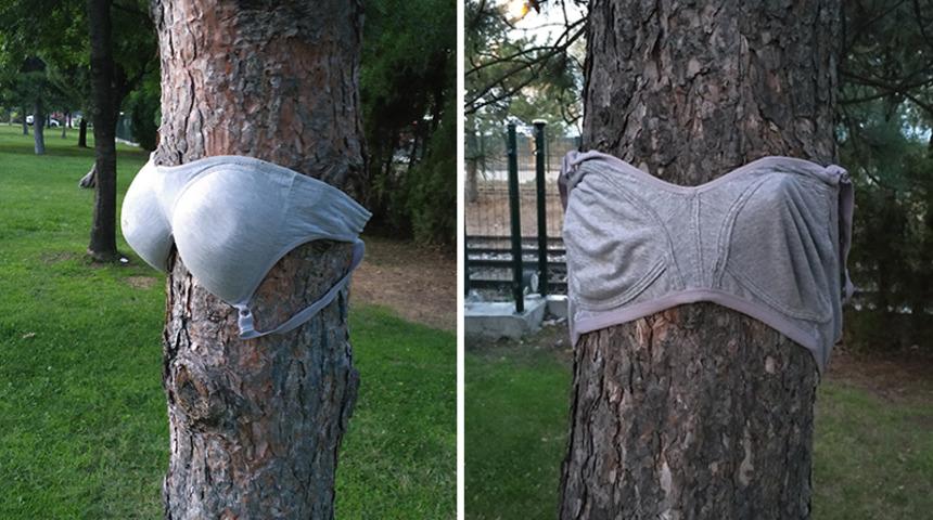 Samsun'da parktaki ağa&ccedil;lara kadın i&ccedil; &ccedil;amaşırı asılması tepki &ccedil;ekti