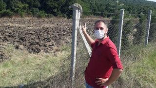 Çatalca'da iguana şaşkınlığı... Yol kenarında bulundu