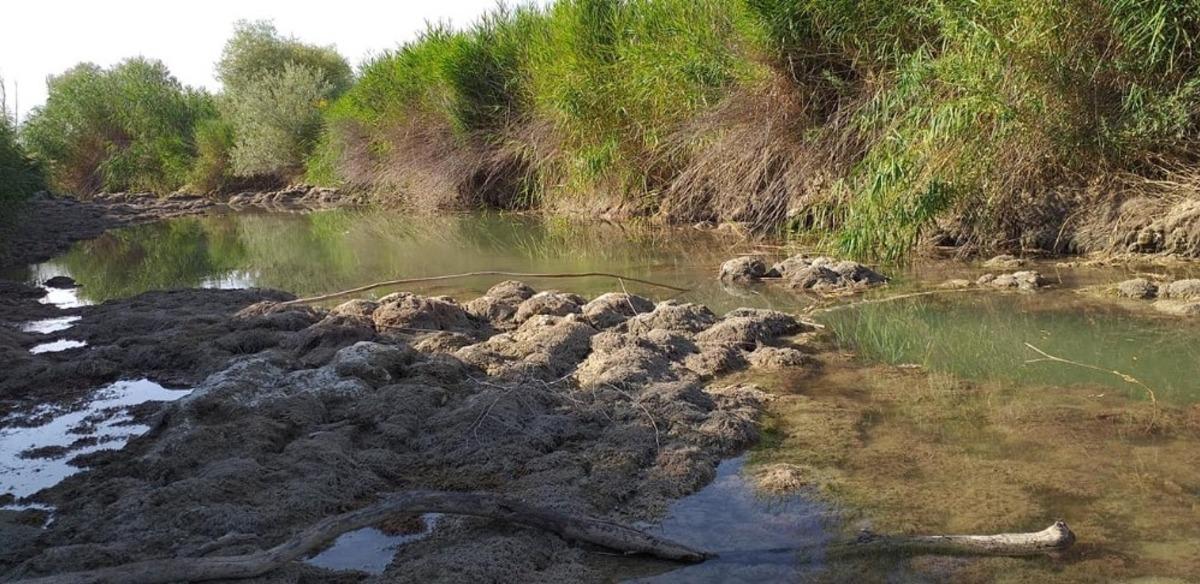 G&uuml;ny&uuml;z&uuml; yağmur g&ouml;zl&uuml;yor