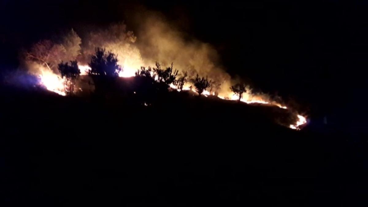 Ormanlık alana yakın b&ouml;lgede y&uuml;kselen alevler korkuttu