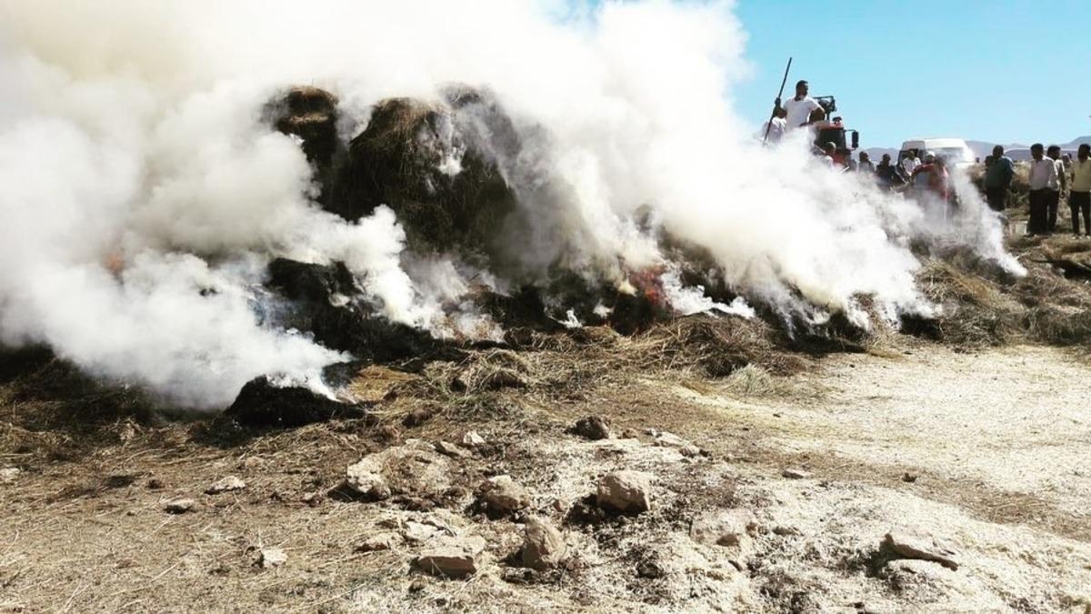 Başkale&rsquo;de 3 bin  bağ ot yandı