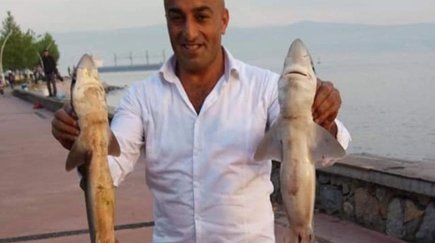 Yakaladığı 2 k&ouml;pek balığıyla hatıra fotoğrafı &ccedil;ekip, denize saldı