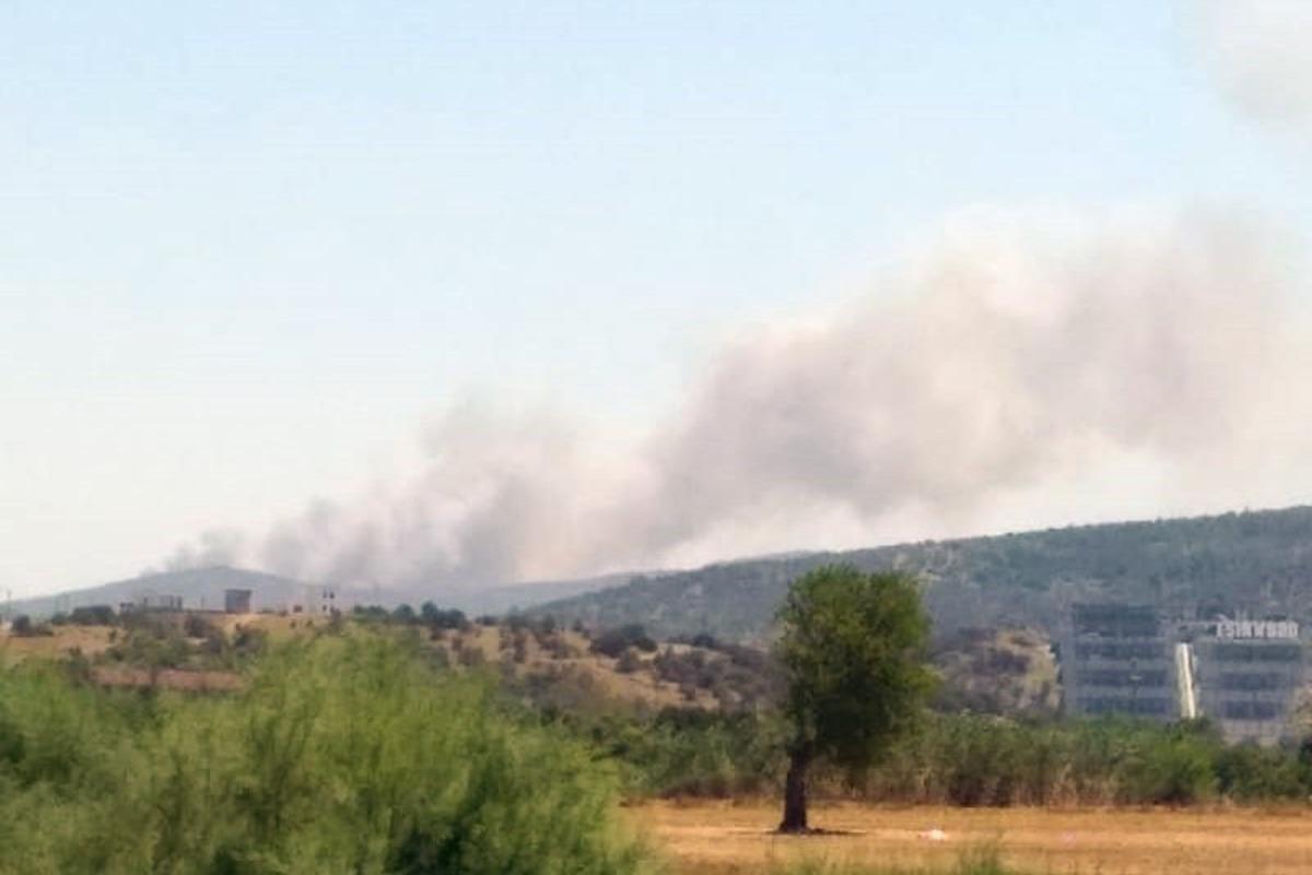 Milas&rsquo;ta orman yangını başladı