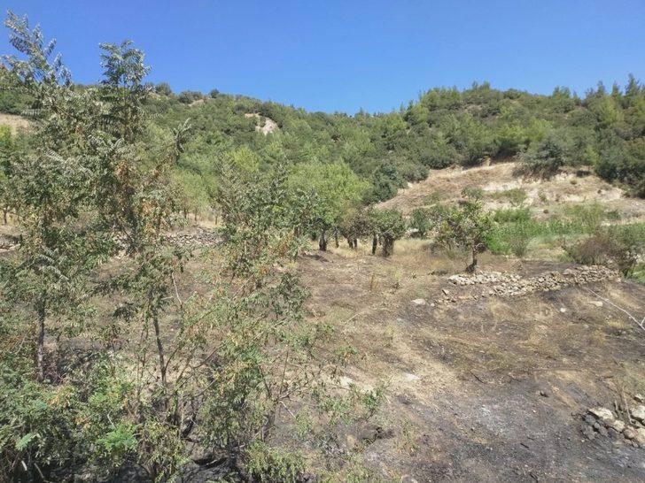 Ormana sıçramadan söndürülen yangının izleri gündüz ortaya çıktı G2