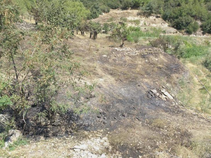 Ormana sıçramadan söndürülen yangının izleri gündüz ortaya çıktı G4