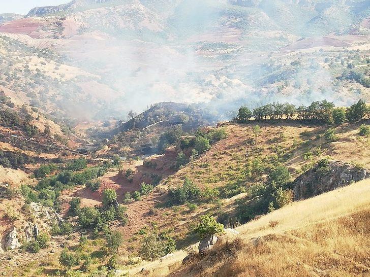 Siirt’te fıstık bahçelerinde yangın G1