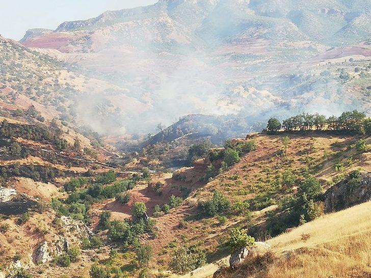 Siirt’te fıstık bahçelerinde yangın G2