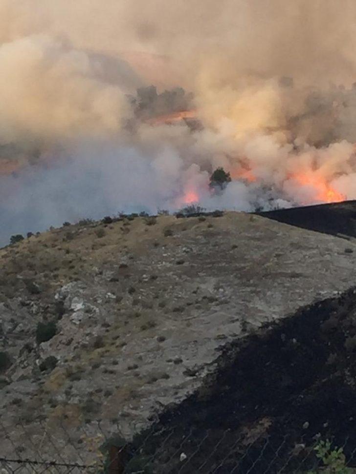 Siirt’te fıstık bahçelerinde yangın G5