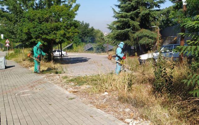 İzmit’te otlar temizlenerek görsel kirlilik önleniyor