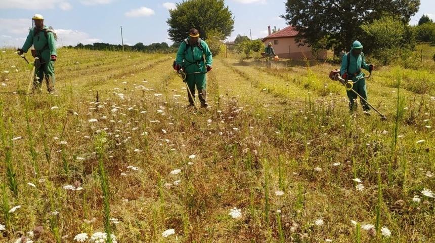 İzmit&rsquo;te otlar temizlenerek g&ouml;rsel kirlilik &ouml;nleniyor