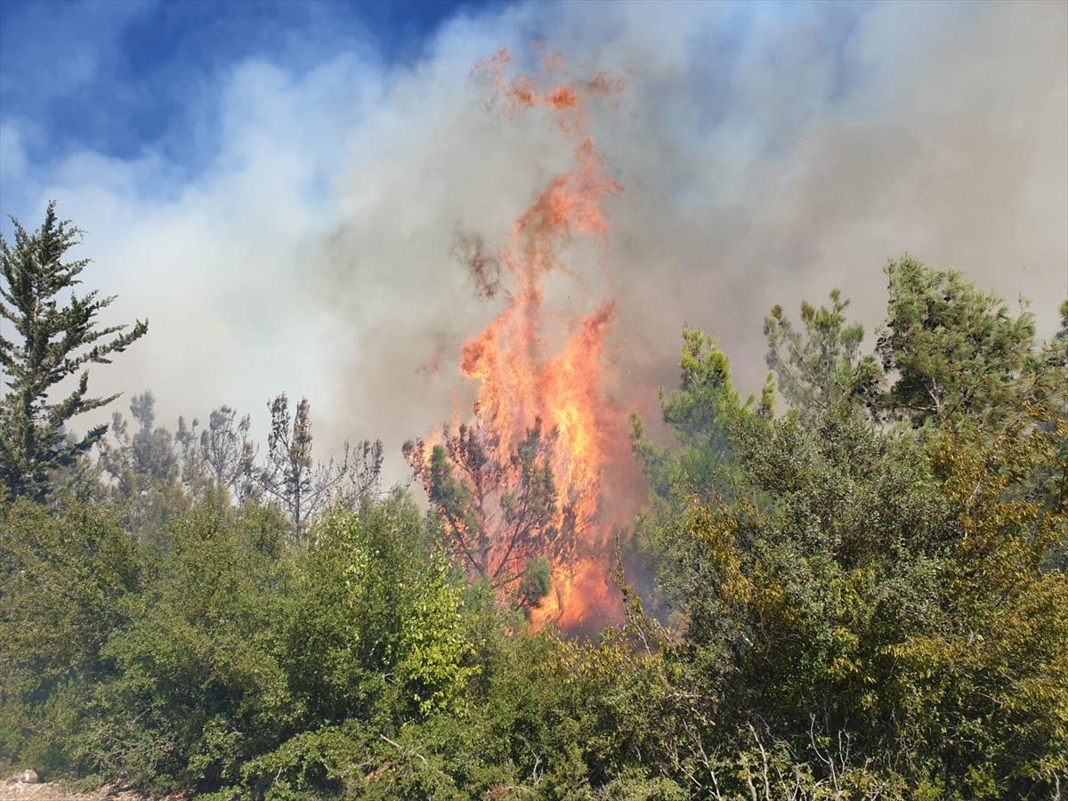 G&Uuml;NCELLEME - Osmaniye'de &ccedil;ıkan orman yangını kontrol altına alındı