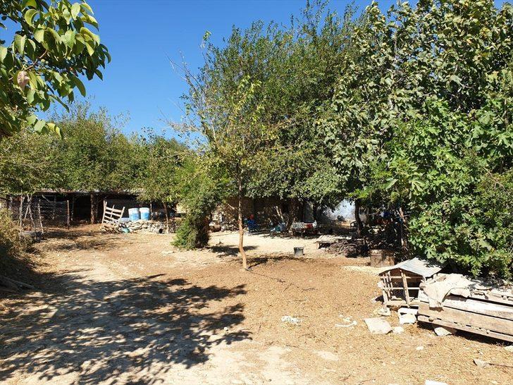 GÜNCELLEME - Osmaniye'de çıkan orman yangını kontrol altına alındı G3