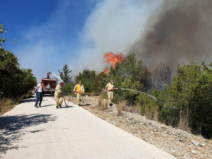 GÜNCELLEME - Osmaniye'de çıkan orman yangını kontrol altına alındı G4