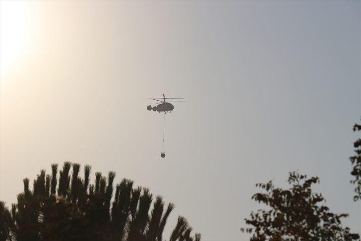 GÜNCELLEME - Bursa'da orman yangını G1