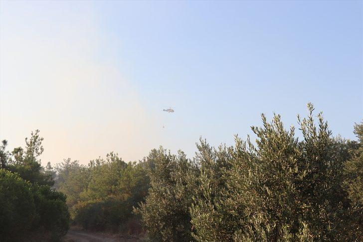 GÜNCELLEME - Bursa'da orman yangını G2