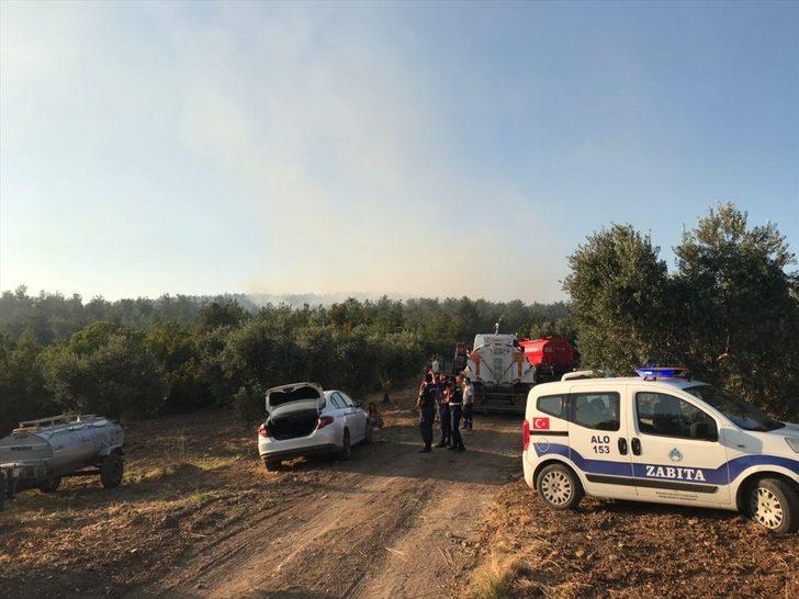 GÜNCELLEME - Bursa'da orman yangını G4