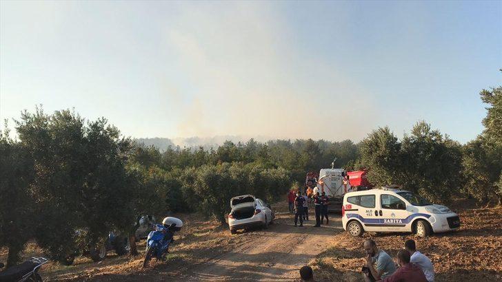 GÜNCELLEME - Bursa'da orman yangını G5