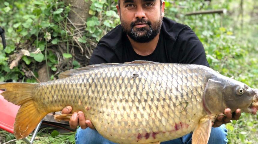 Bartın'da oltayla 13 kilo ağırlığında sazan yakaladı