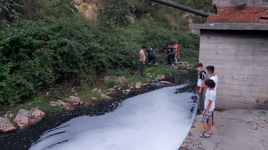 Kimyasal atıklar dereye karıştı! Dereden su içen köpek zehirlendi