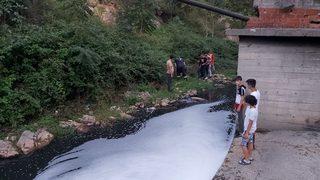 Kimyasal atıklar dereye karıştı! Dereden su içen köpek zehirlendi