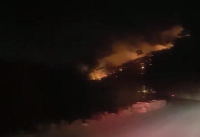 İzmir'in Menderes ilçesinde ormanlık alanda yangın