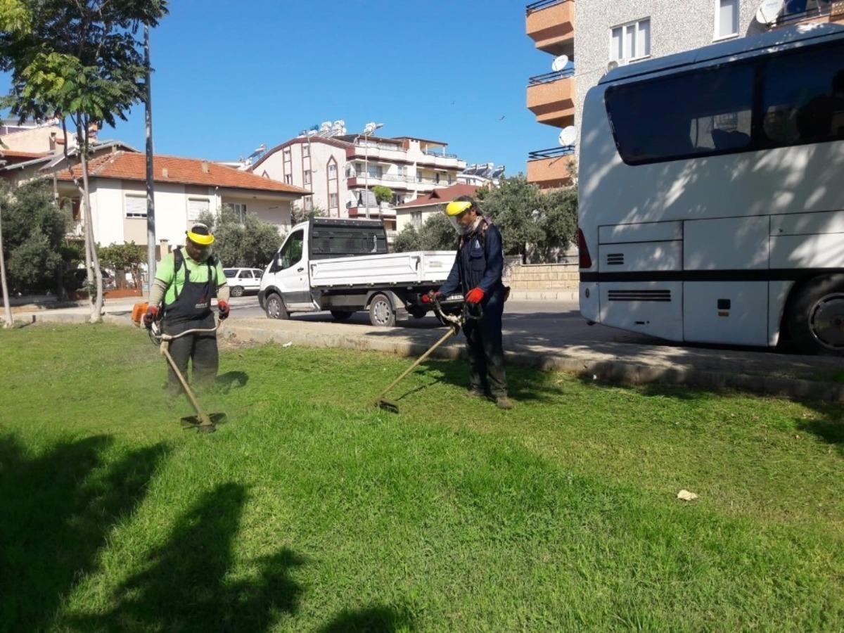 Daha yeşil bir Didim i&ccedil;in &ccedil;alışmalar s&uuml;r&uuml;yor