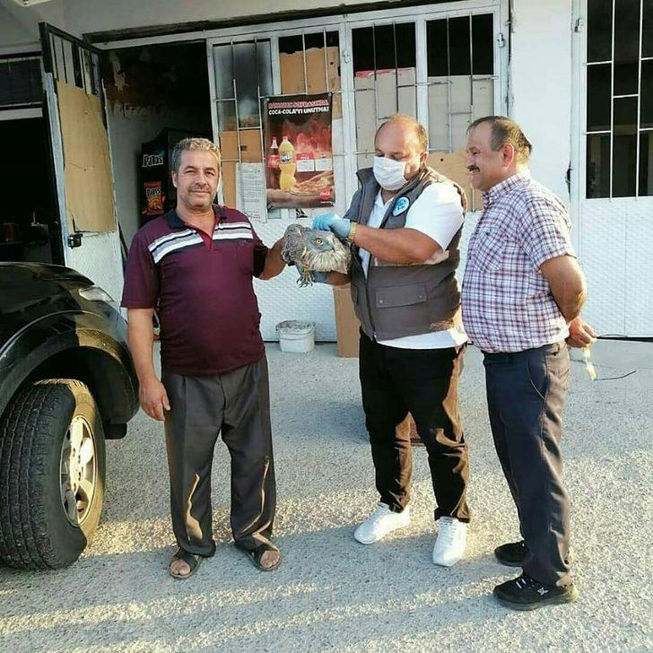 Yaralı kartalın imdadına yetiştiler G2