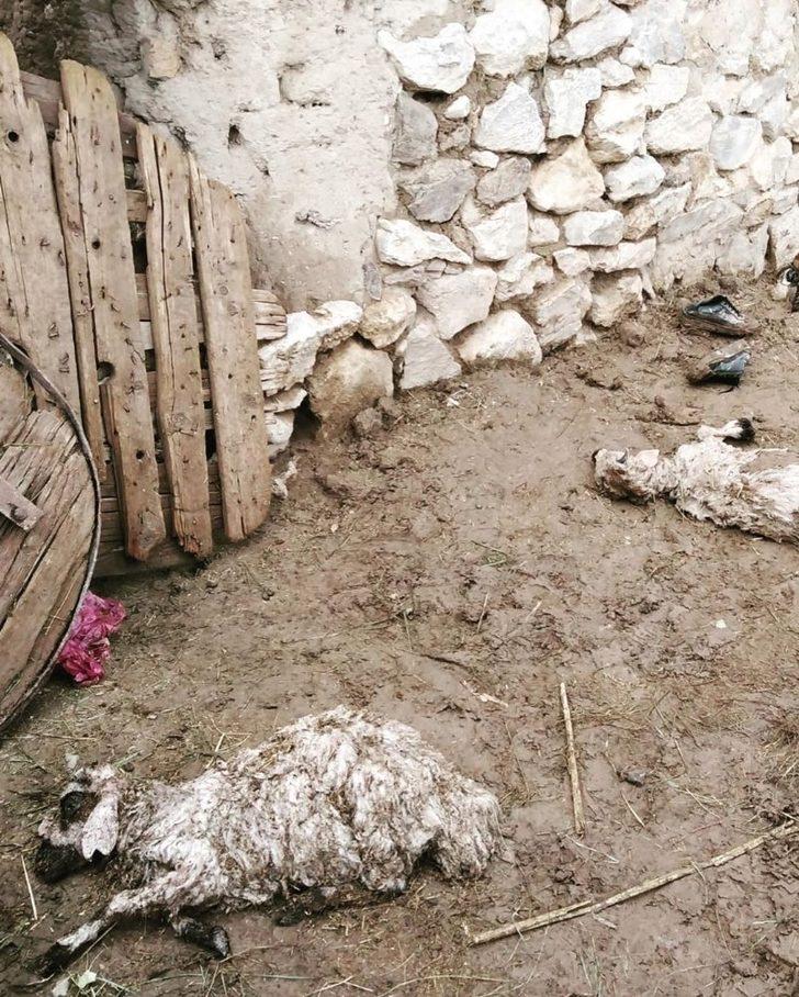 Van’da su baskınları G1